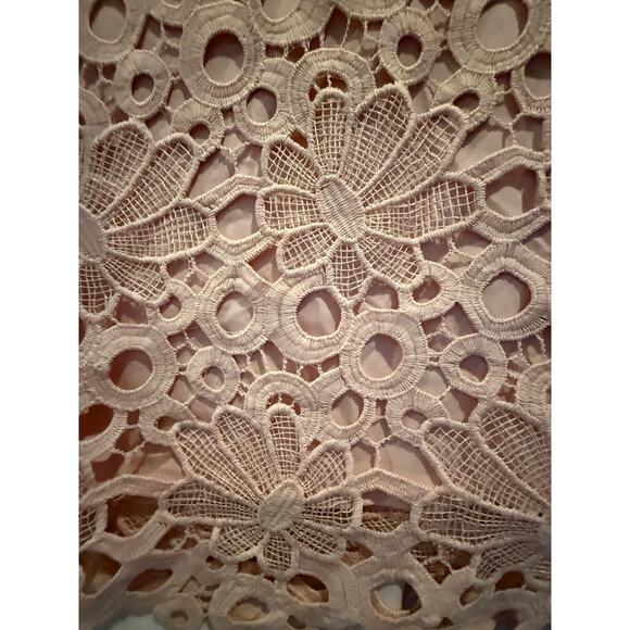 Nanette Lepore Women's size 2 Pink Dress Eyelet Lace Embroidered Lined Cocktail - Picture 9 of 14